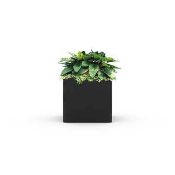Wall Mounted Planters